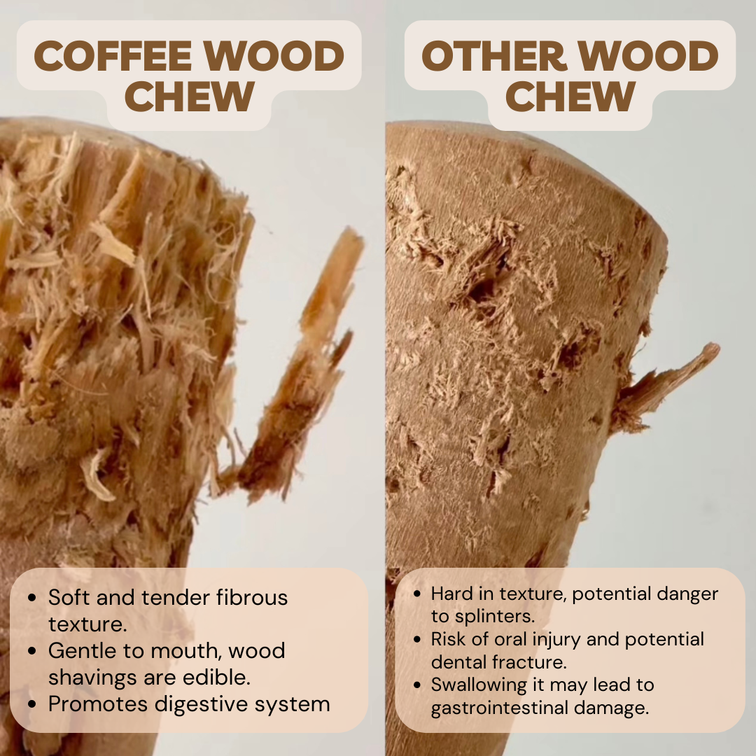 Coffee Wood Chew | Dog Chew | Dental Chew