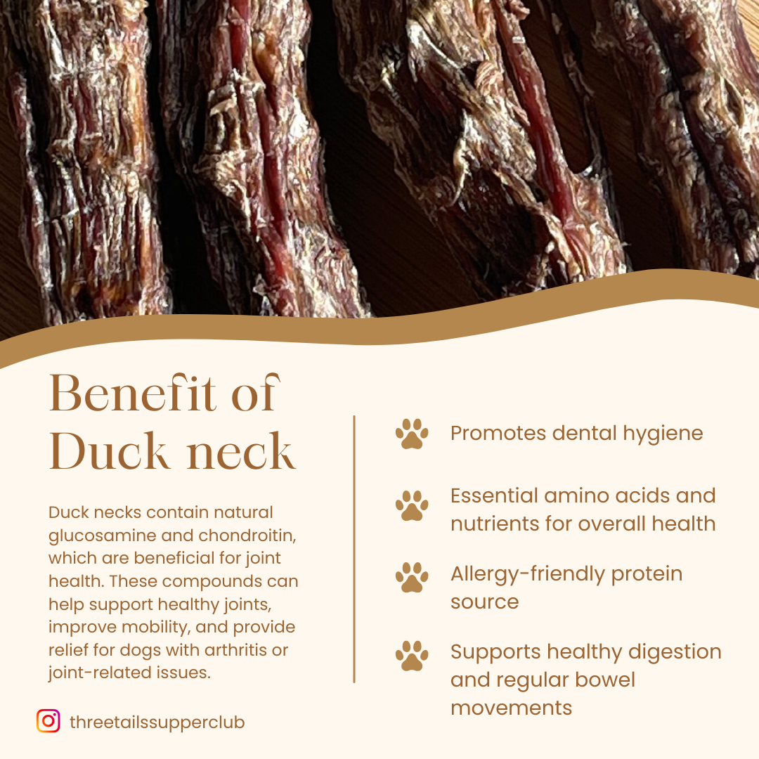 Air Dried Duck Neck
