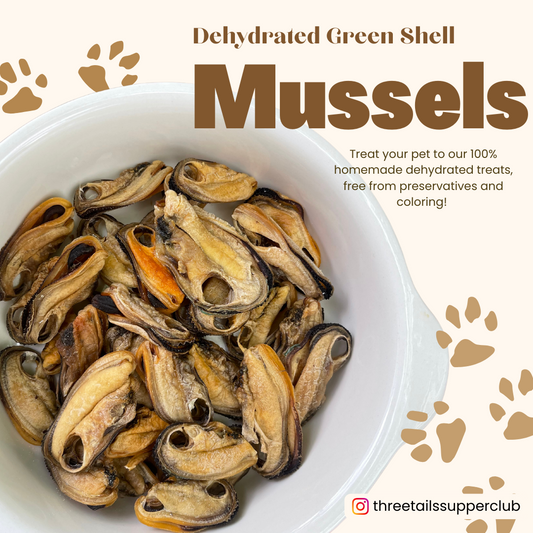 Air Dried Green Shell Mussels